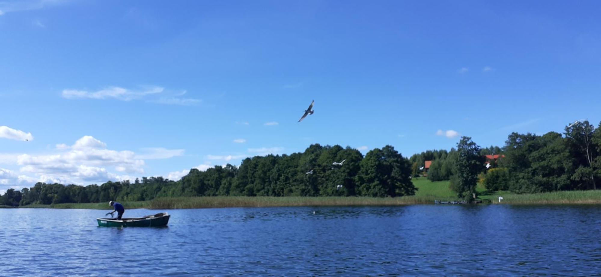 Goscinne Sloneczny Klon * Dąbrówno