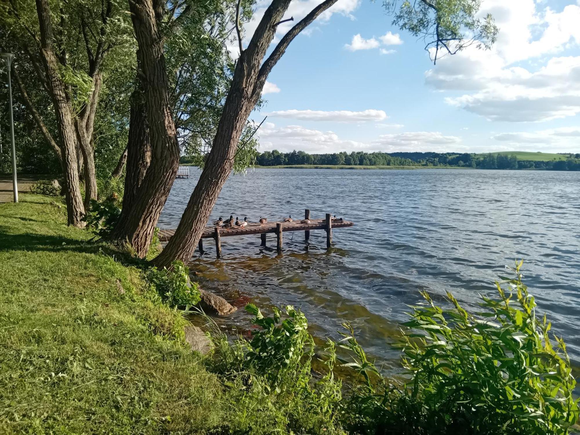 Goscinne Sloneczny Klon Casa di campagna Dąbrówno