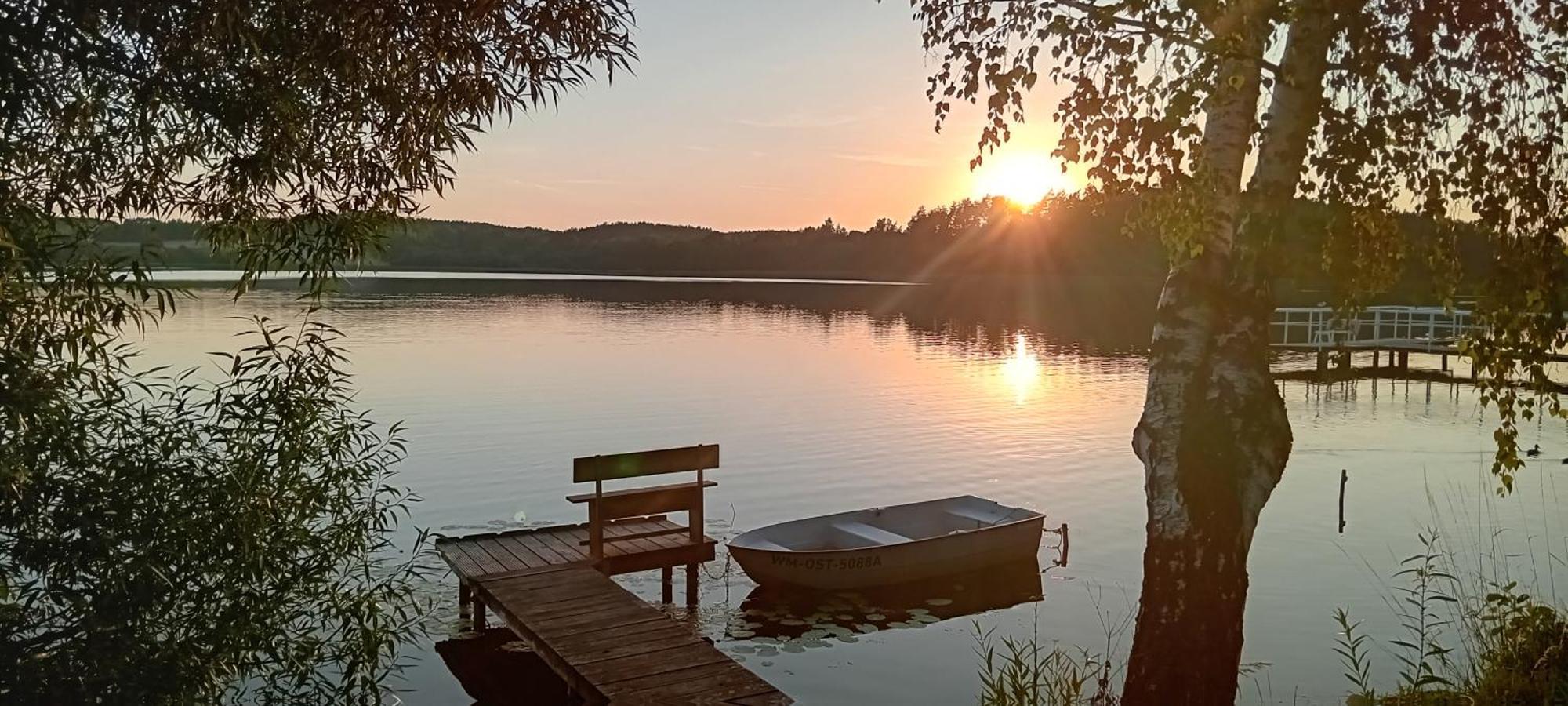 Goscinne Sloneczny Klon